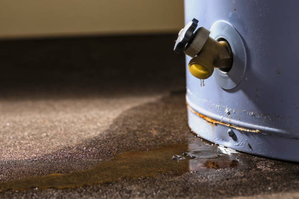 Professional Water damage restoration in St Matthews, SC