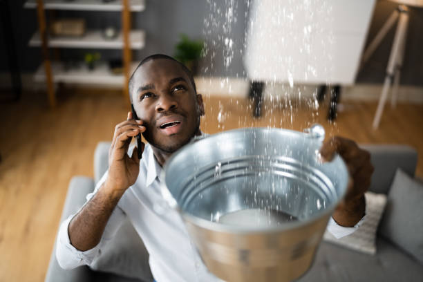 Best Water damage contractors near me  in St Matthews, SC
