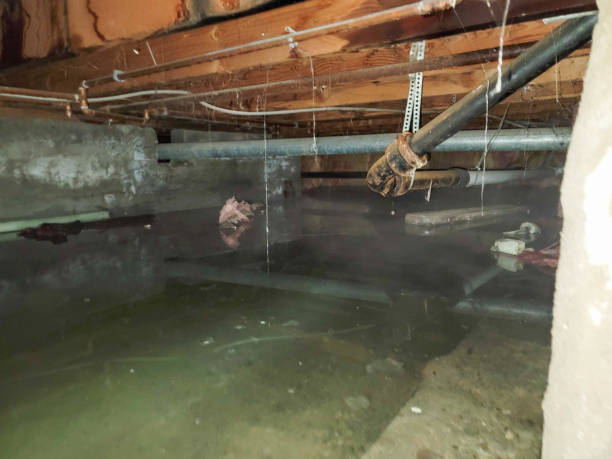 Carpet water damage restoration in St Matthews, SC