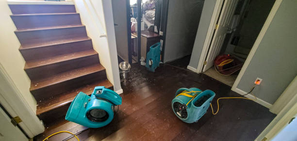 Best Water damage restoration services  in St Matthews, SC