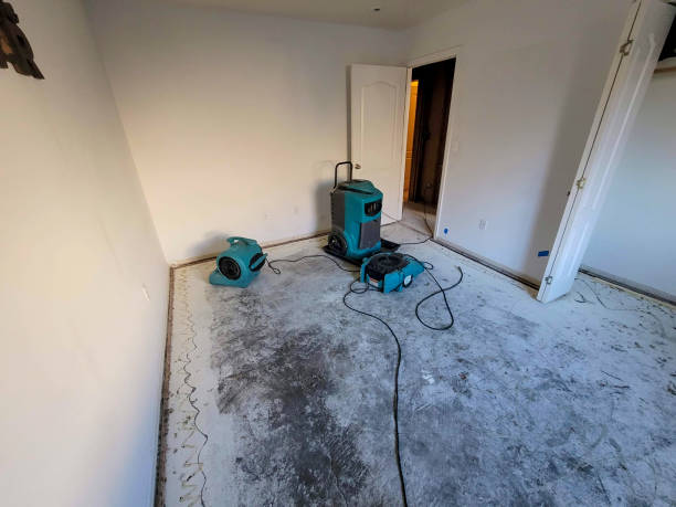 Best Flood damage cleanup  in St Matthews, SC