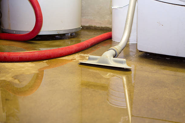Best Flood damage cleanup  in St Matthews, SC