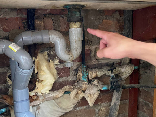 Best Commercial water damage restoration  in St Matthews, SC