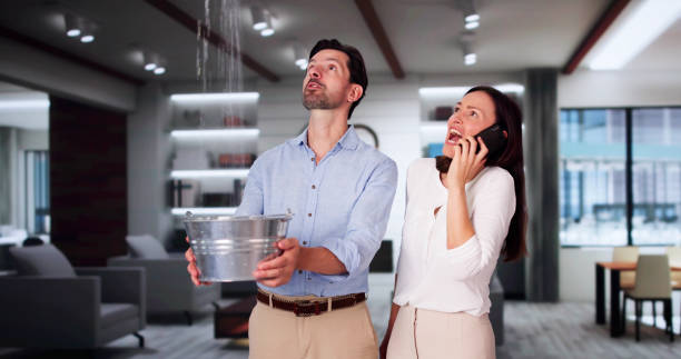 Best Flooded house restoration  in St Matthews, SC