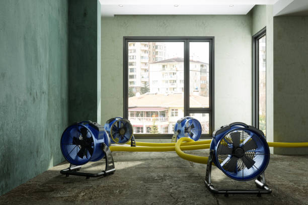 Best Residential water damage restoration  in St Matthews, SC